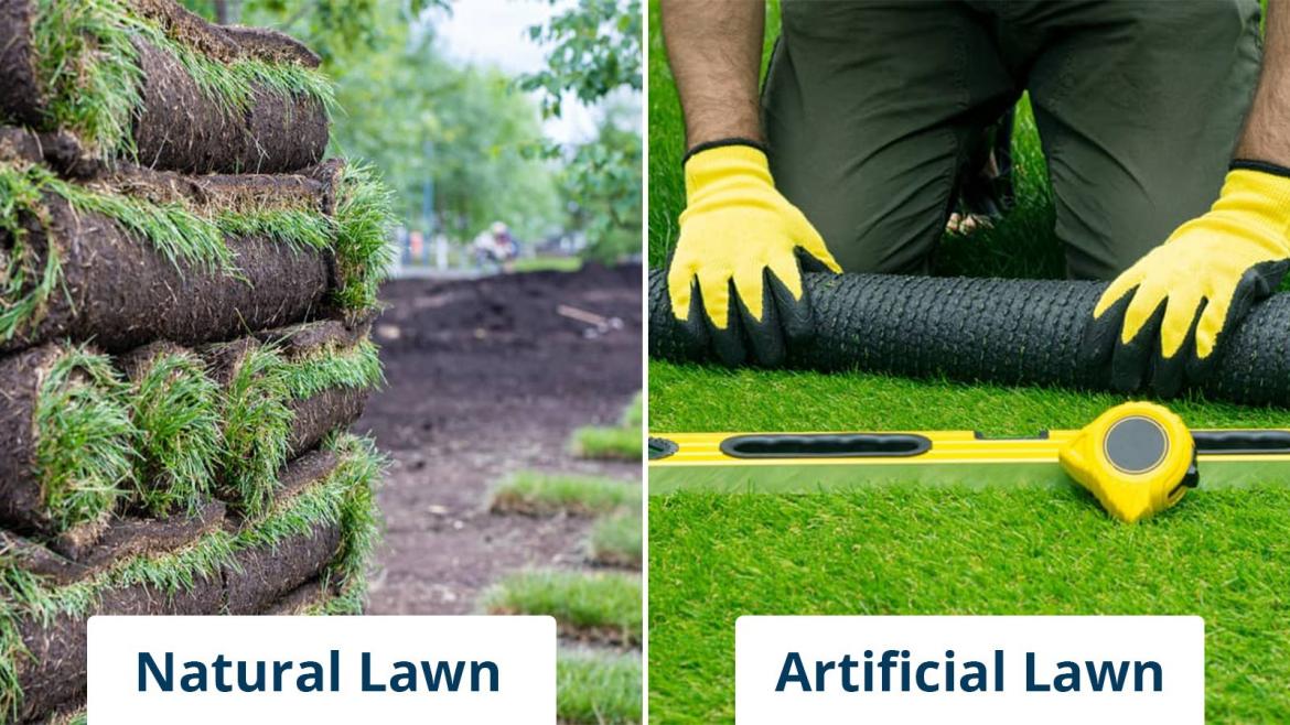 artificial lawn versus a natural lawn—which is better?