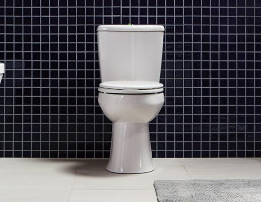 Niagara Nano high efficiency toilet