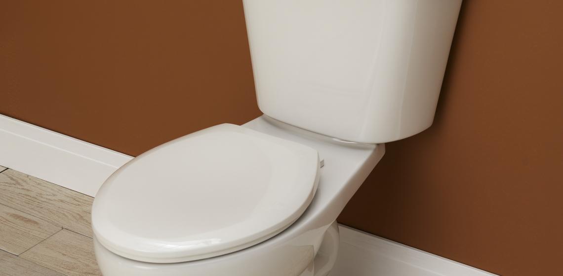 Gerber has added a MaP Premium dual-flush toilet to its high-performance Viper product line.