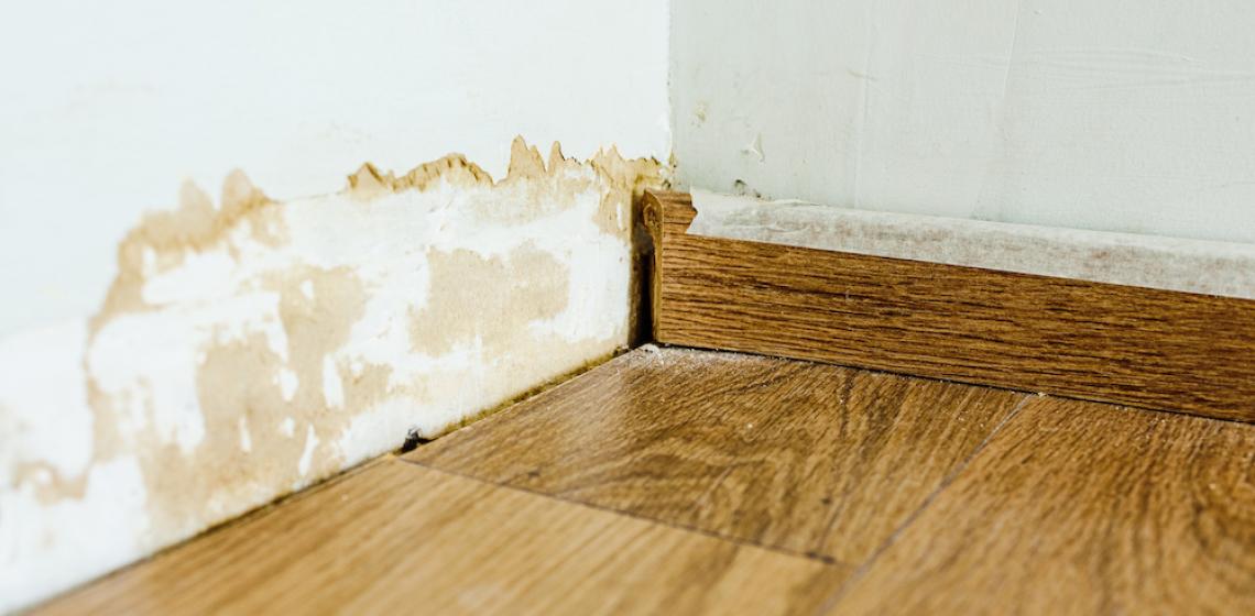 mold on kick board caused by moisture could be avoided by managing moisture in walls