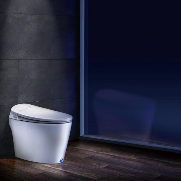 Dyconn Smart Toilet With Bidet