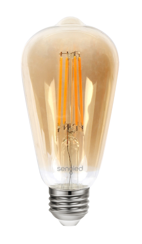 Edison Filament Bulb