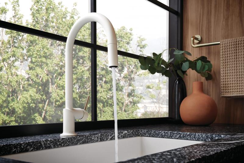 Brizo Scandinavian matte designer faucet